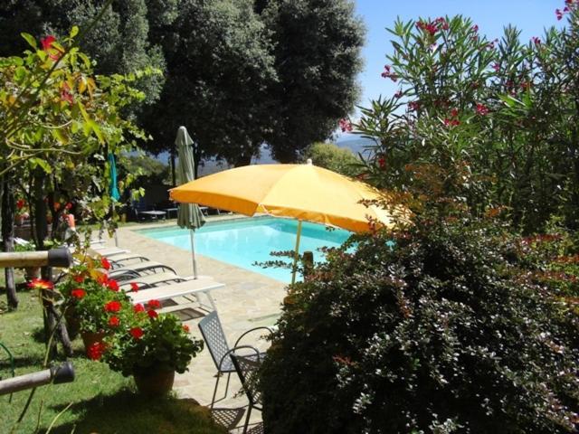 La Morosa Pension Castel Rigone Buitenkant foto